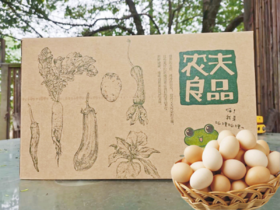 朴愿有机农场 特色蔬菜礼盒  3有机+3放心农家菜+土鸡蛋20枚