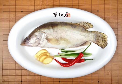 苗员外臭桂鱼～500克 商品图1