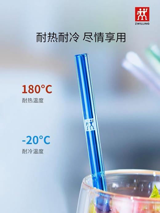 【B1】双立人彩色吸管 商品图0