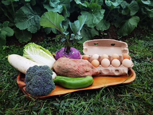 来自健康土地的味道~ 6品种当季新鲜有机蔬菜 +土鸡蛋  精品礼盒装 商品图1