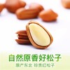 百草味东北松子100克 商品缩略图1