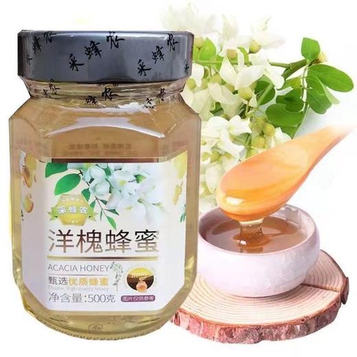 智力洋槐蜜500g 商品图0