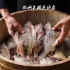 苗员外臭桂鱼～500克 商品缩略图7