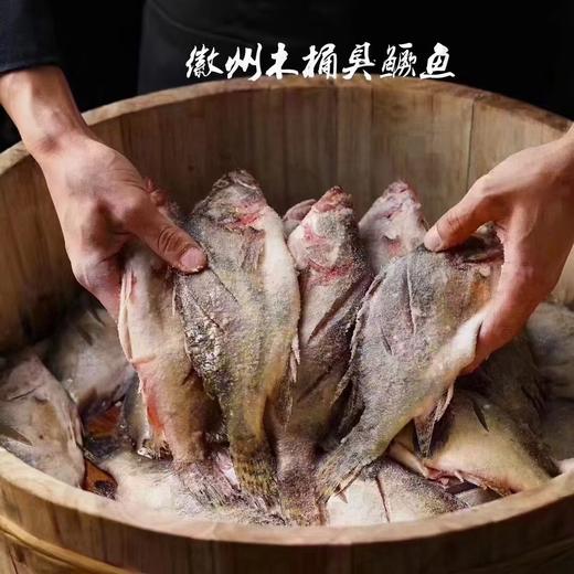 苗员外臭桂鱼～500克 商品图7