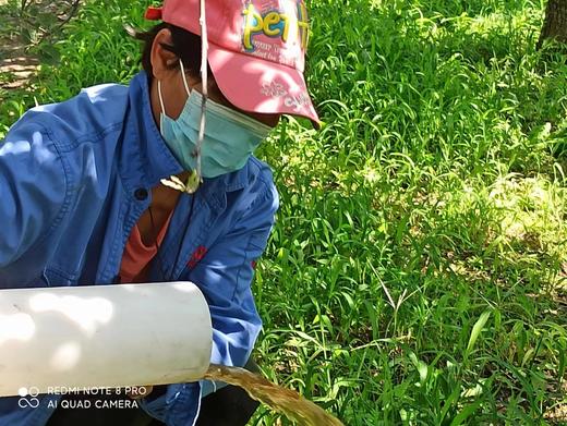 酵素农耕种植红富士苹果、脆甜汁多、 8斤/箱、顺丰包邮 // 军丽农庄 商品图4