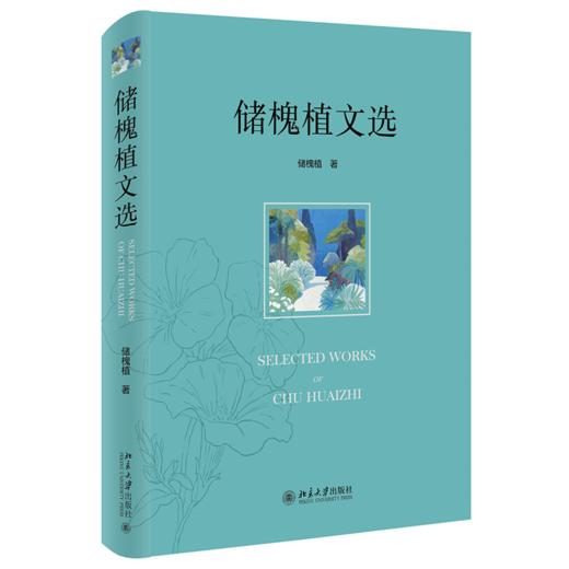 储槐植文选 储槐植 北京大学出版社 商品图0