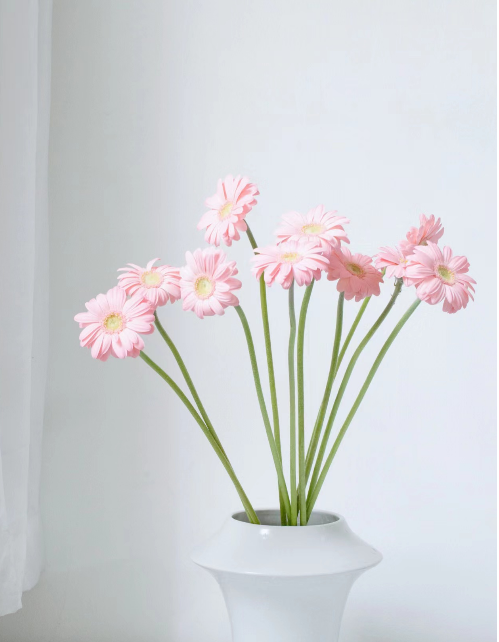 迷你弗朗（5枝）颜色随机