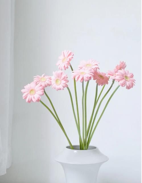 迷你弗朗（5枝）颜色随机 商品图0