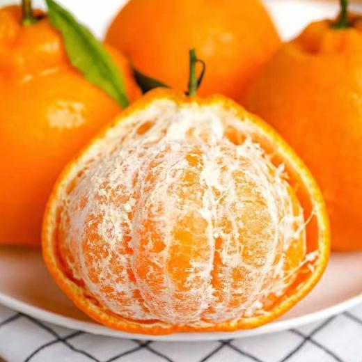 产地直发 | 【枝悦】正宗四川春见耙耙柑  新鲜水果柑橘早期柑桔 应当季水果 商品图2