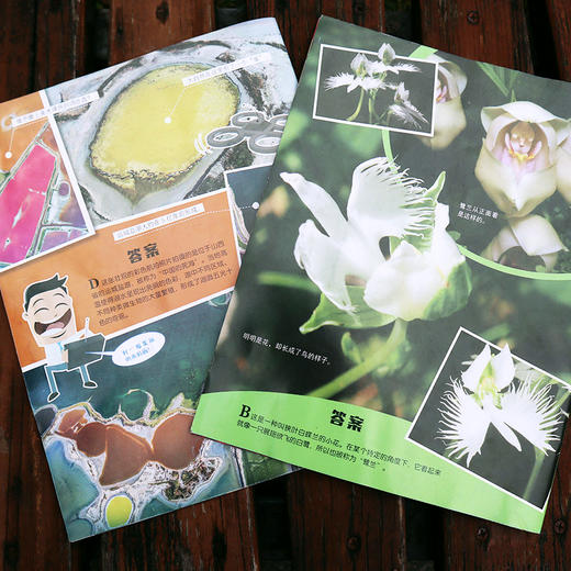 发现号 2026年5月起订 全年订阅 1年共12期  商品图2