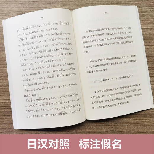 日语分级阅读 初级.中级.高级 商品图3