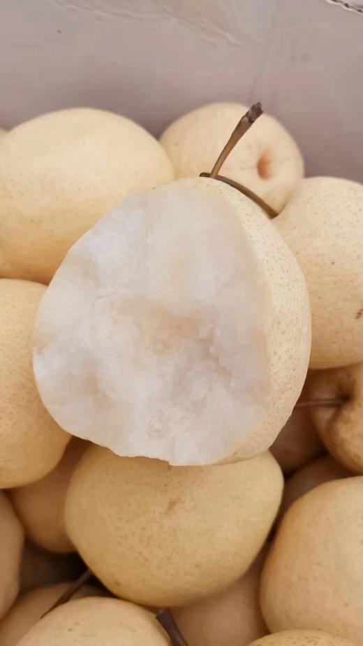 壶口酥梨 宜川原产地直发 精品箱装 香甜多汁 英联公司（14斤） 商品图3