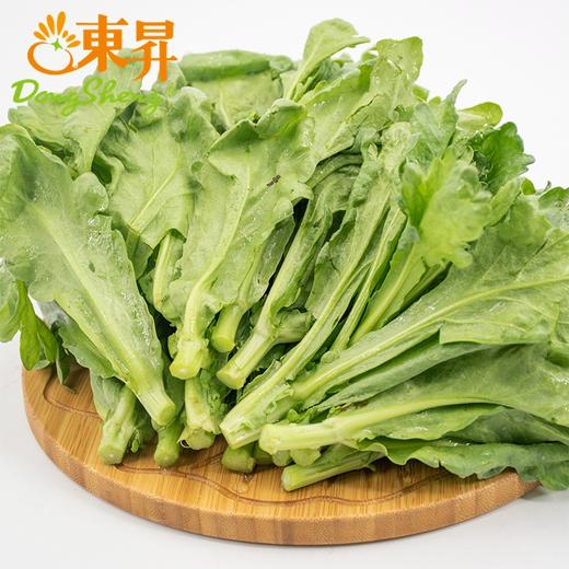 东升有机茼蒿苗 菊花菜 鹅菜 塘蒿 250g  广州供港新鲜蔬菜配送 商品图0