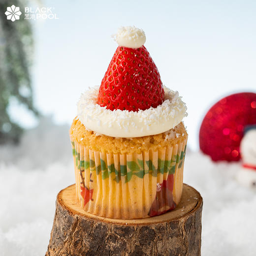 （预约验券专用）【圣诞纷享礼盒】请对应款式下单，验券不成功不发货，备注抖音电子券码，下单支付0.01元即可 商品图5