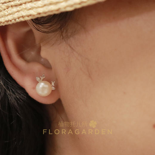 s925银珍珠耳环 商品图9