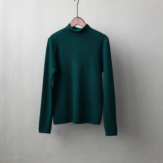 YS-P363半高领毛衣女2022冬季新款加绒加厚内搭打底衫针织上衣 商品图8