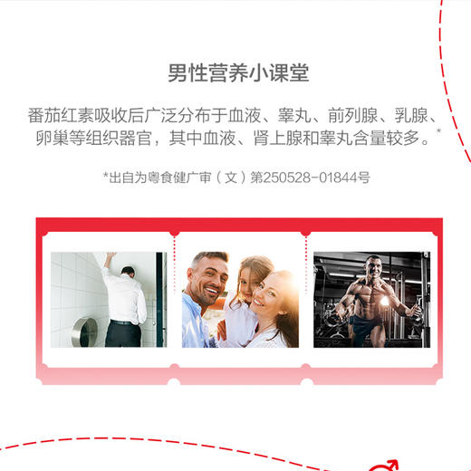 汤臣倍健番茄红素维生素E软胶囊成人抗氧化 60粒/瓶 商品图4