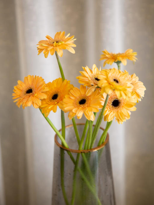 迷你弗朗（5枝）颜色随机 商品图1