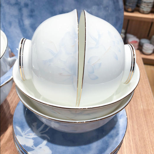 品物攸宜雅韵10人用49头骨质瓷餐具 商品图4