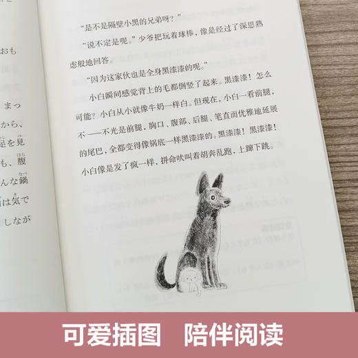 日语分级阅读 初级.中级.高级 商品图6