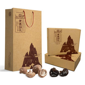 良田半亩半亩川  优选山珍500g 木耳+香菇组合礼盒