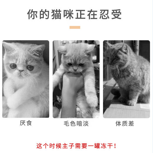纽粹臣冻干罐装零食罐 增肥发腮 拍组合装更划算【建议售价25元/罐 100元5罐】 商品图9