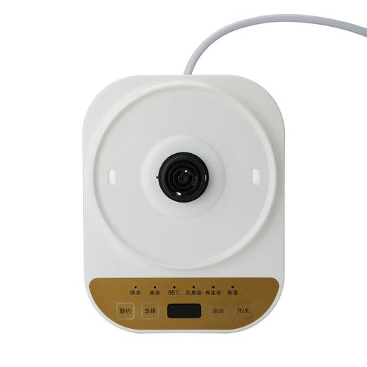 膳魔师 ELECTROLUX 伊莱克斯养生壶1.7L EGEK3010 商品图4