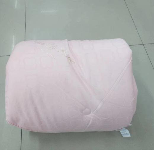 城遇品牌冬被四叶草天丝被 商品图0