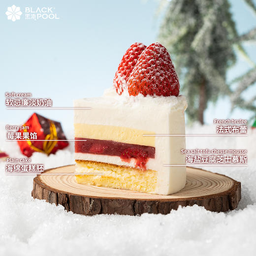 （预约验券专用）【圣诞树·海盐豆腐芝士慕斯 】验券不成功不发货，选择款式，备注平台+券码，下单支付0.01元即可 商品图1