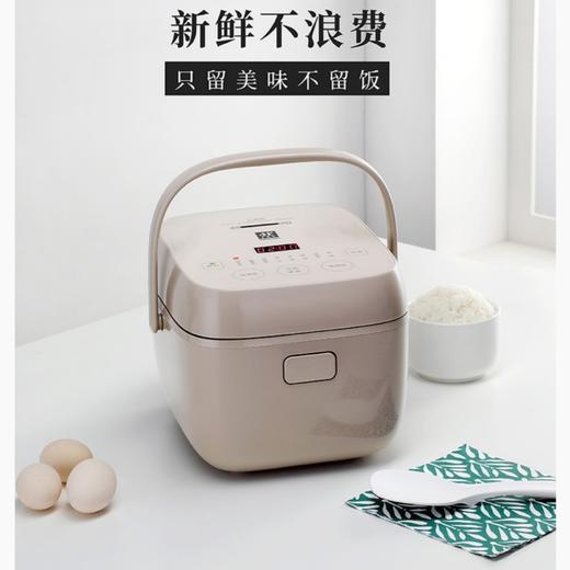 双立人 迷你电饭煲ZRC460-C 商品图1