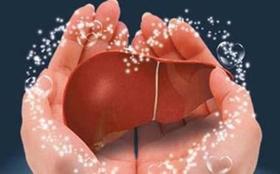 肝太累易引起冬季失眠 冬季6大饮食养肝护肝