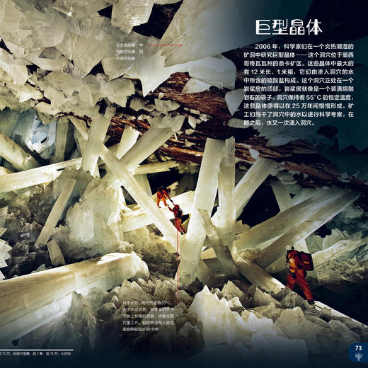 《大英儿童百科全书》 商品图4