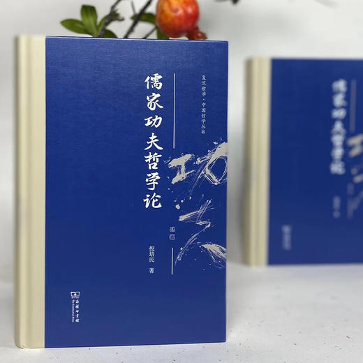儒家功夫哲学论（复旦哲学·中国哲学丛书） 倪培民 著 商务印书馆 商品图6
