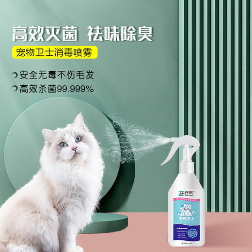 庄辰 宠物卫士 HCLO免洗消毒喷雾 300ml 无需稀释 直接喷洒 亲密接触更安心 商品图4