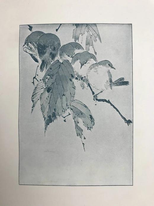 1897年 园艺图鉴 数十幅插图 漆布精装32开 商品图12