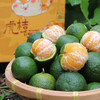 【顺丰京东包邮】清香茶桔 柑橘新宠儿 2斤/4斤彩箱装 商品缩略图4
