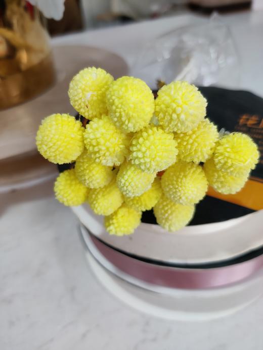 【干花】黄金球 多色可选  20枝 商品图7