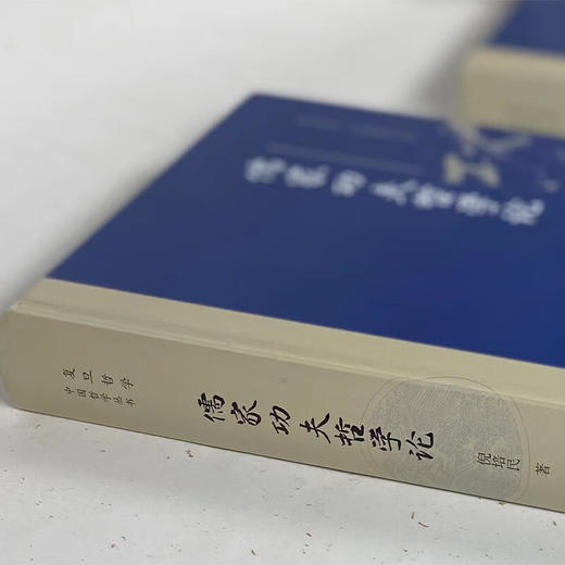 儒家功夫哲学论（复旦哲学·中国哲学丛书） 倪培民 著 商务印书馆 商品图1