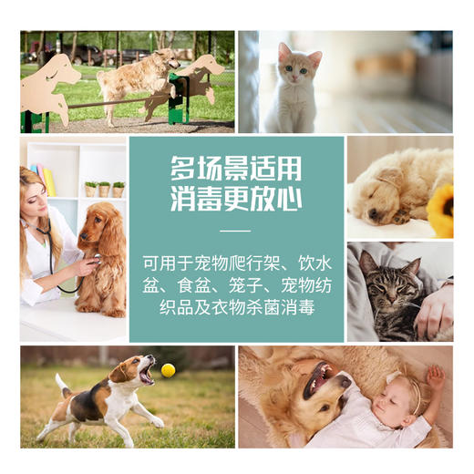 庄辰 宠物卫士 HCLO免洗消毒喷雾 300ml 无需稀释 直接喷洒 亲密接触更安心 商品图1