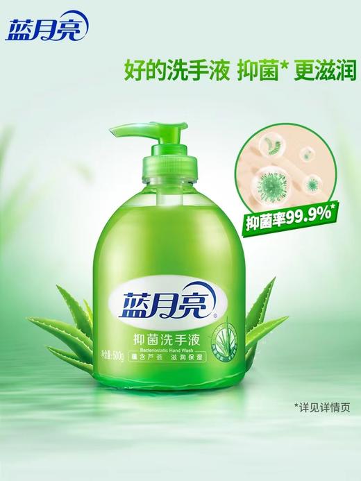 蓝月亮洗手液2瓶装500g*2 商品图2