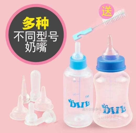 优质奶瓶套装幼猫幼犬奶瓶新生猫狗喂奶器/一套 商品图4