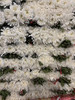 【寄托】菊花 大白菊 10支/扎 商品缩略图5