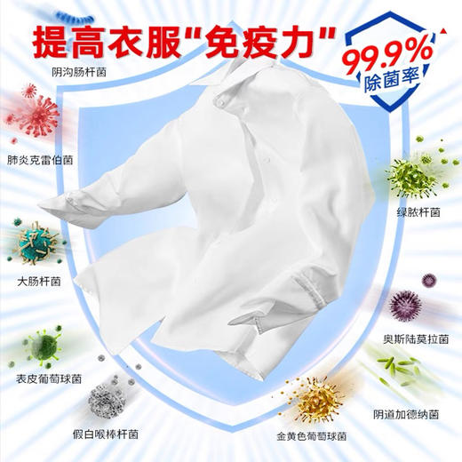 立白洗衣粉2.2千克 商品图2