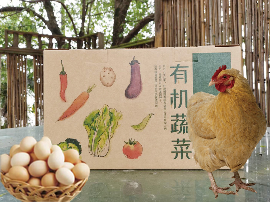 朴愿有机农场 特色有机蔬菜礼盒（有机蔬菜+土鸡+鸡蛋）一趟配齐鸡、蛋、菜