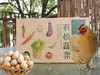 朴愿有机农场 特色有机蔬菜礼盒（有机蔬菜+土鸡+鸡蛋）一趟配齐鸡、蛋、菜 商品缩略图0