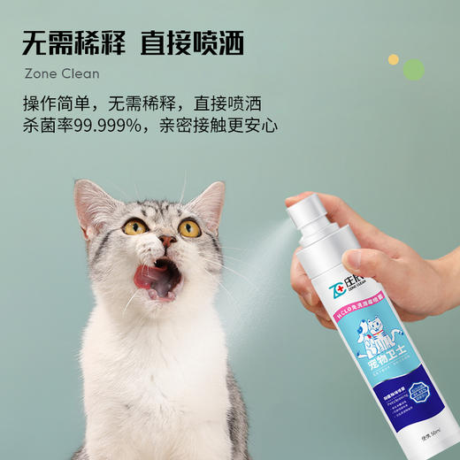 庄辰 宠物卫士 HCLO免洗消毒喷雾 300ml 无需稀释 直接喷洒 亲密接触更安心 商品图3