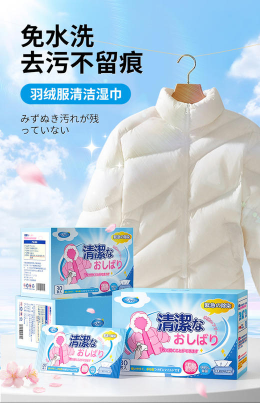 羽绒服清洗去污湿巾 商品图0
