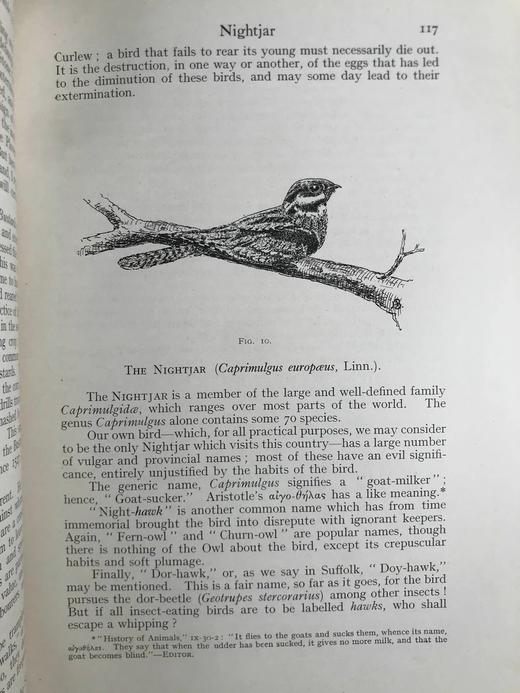 限量500册！含藏书票！1920年 英国鸟类的野外观察 21幅插图 布脊精装16开 商品图13