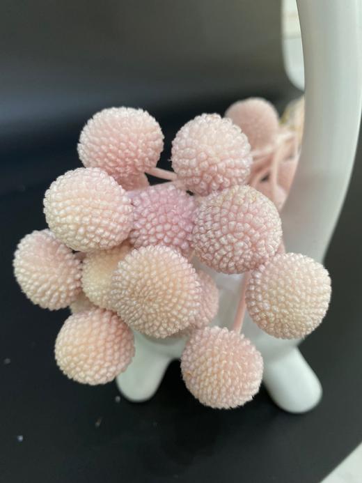 【干花】黄金球 多色可选  20枝 商品图1