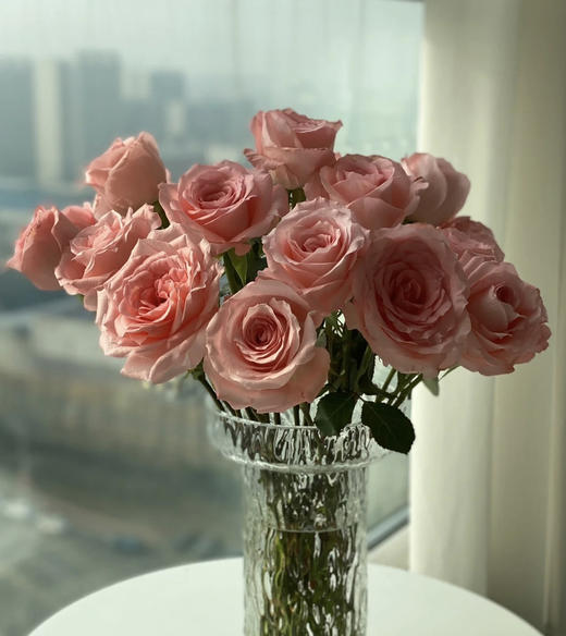 【秒杀福利】南粤推荐-戴安娜  20支/扎 商品图6